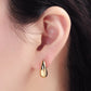 Small Teardrop Earrings