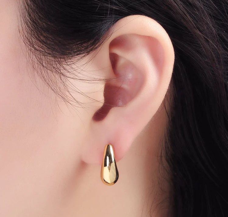 Small Teardrop Earrings